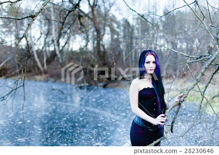 Portrait of the gothic woman on the frozen lake 28230646