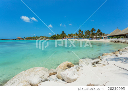 Flamingo beach at Aruba island Flamingo beach at Aruba island 28230995