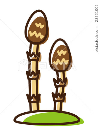 Horsetail 28231003