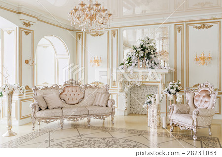 Luxurious vintage interior with fireplace in the 28231033