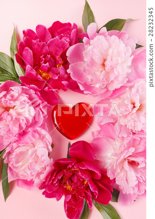nice peonies nice peonies 28232345