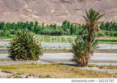 Wide view of canyon and cultivated fields 28232797