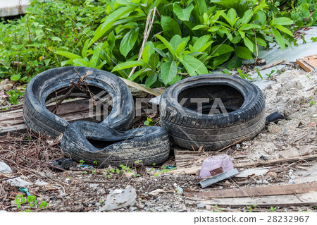 Old tire indicating breeding ground for mosquito Old tire indicating breeding ground for mosquito 28232967