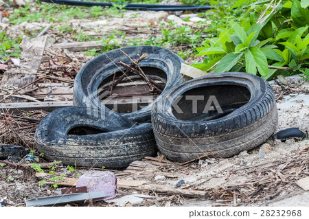 Old tire indicating breeding ground for mosquito Old tire indicating breeding ground for mosquito 28232968