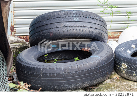 Old tire indicating breeding ground for mosquito Old tire indicating breeding ground for mosquito 28232971