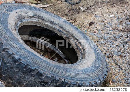 Old tire indicating breeding ground for mosquito Old tire indicating breeding ground for mosquito 28232978