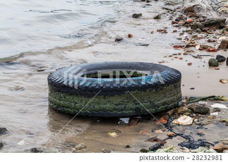 Old tire indicating breeding ground for mosquito 28232981