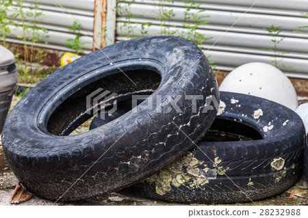 Old tire indicating breeding ground for mosquito 28232988