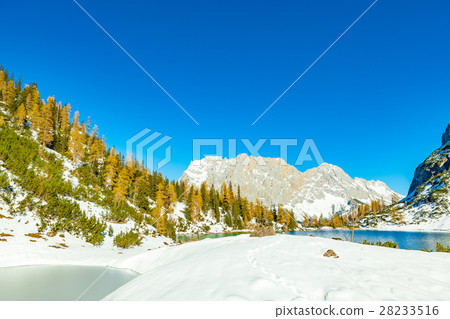 seebensee seebensee 28233516