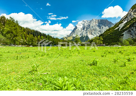 field neer seebensee 28233559