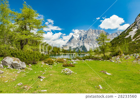 green field 28233560