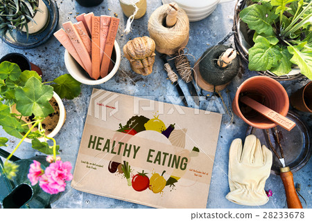 Healthy Eating Food Nutrition Concept Healthy Eating Food Nutrition Concept 28233678