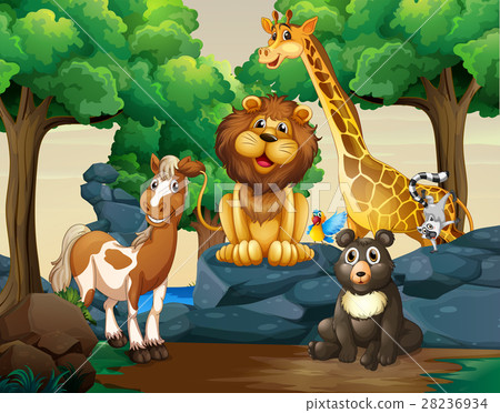 Different types of wild animals in the forest Different types of wild animals in the forest 28236934
