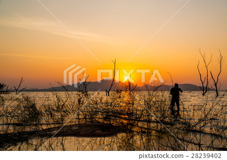 Silhouette Dry tree and Photographer in water  28239402