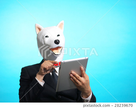 Poti seems to be popping. Mr. Poti Kendogg (Pisces - Tiger - A type) Poti seems to be popping. Mr. Poti Kendogg (Pisces - Tiger - A type) 28239670