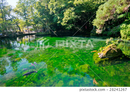 室外平的Benten池塘Atomizuhara Benten Ikebukuro 28241267