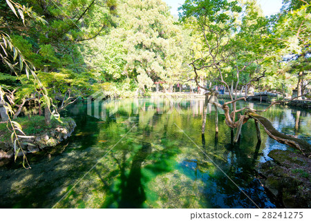 Outdoor Flat Benten Pond Atomizuhara Benten Ikebukuro Outdoor Flat Benten Pond Atomizuhara Benten Ikebukuro 28241275