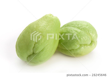 Hayato melon 28245646