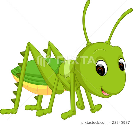 Cartoon funny cricket Cartoon funny cricket 28245987