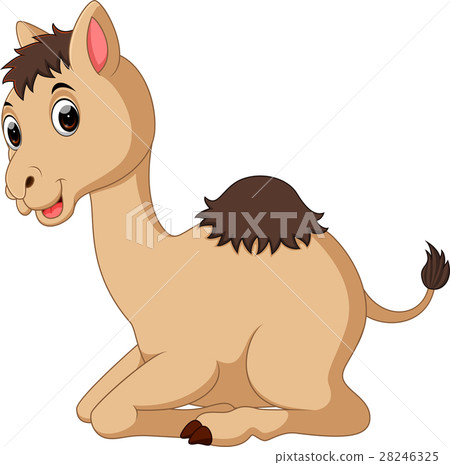 Camel cartoon - Stock Illustration [28246325] - PIXTA