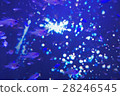 冬季水族館 28246545