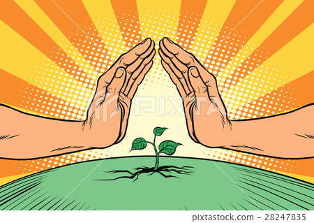 Human hands protecting a green sprout, environment Human hands protecting a green sprout, environment 28247835