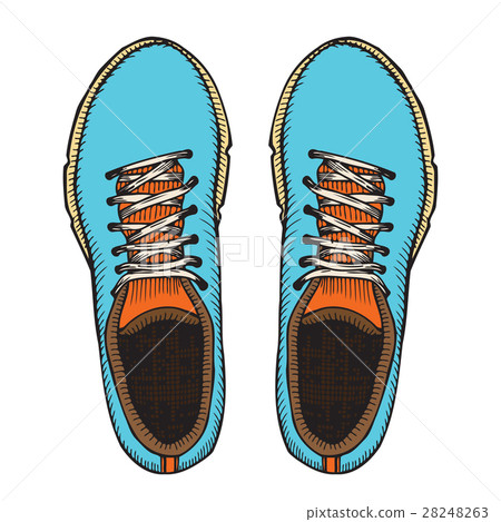 Vector illustration red and blue sports sneakers Vector illustration red and blue sports sneakers 28248263