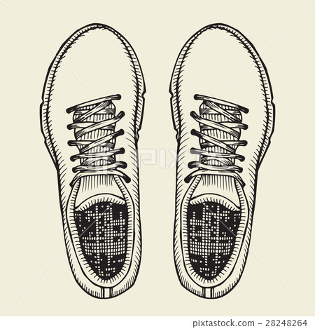 Skaters Shoes. Top View. 28248264