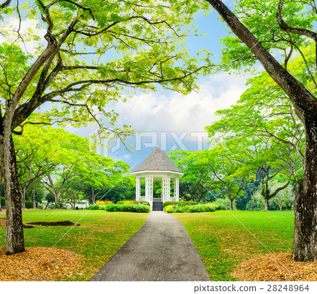 Band stand landmark at Singapore Botanic Garden 28248964