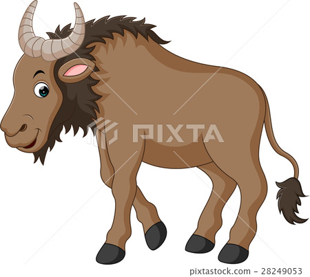 Illustration of a Wildebeest Illustration of a Wildebeest 28249053