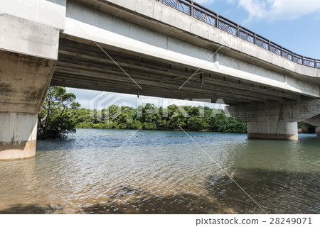 Miyara河的Hirugi森林 28249071