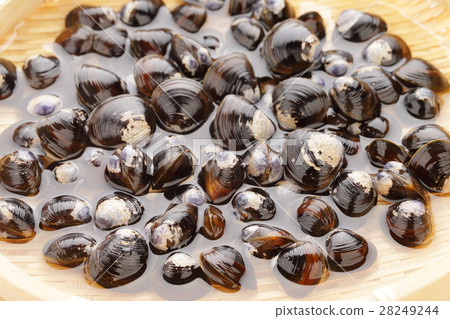 炙熱的砂紙圖像 炙熱的砂紙圖像 28249244