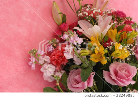 Festive flowers Festive flowers 28249883