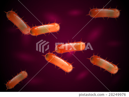 Orange bacteria culture. Vector. 28249976