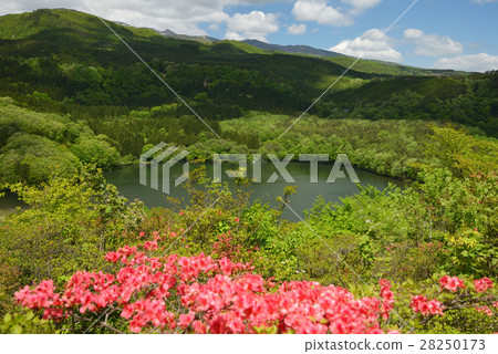 Azalea mountain park and girls' field Azalea mountain park and girls' field 28250173