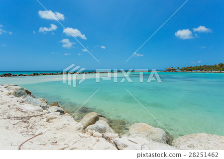 Flamingo beach at Aruba island 28251462