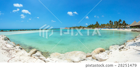 Flamingo beach at Aruba island 28251479