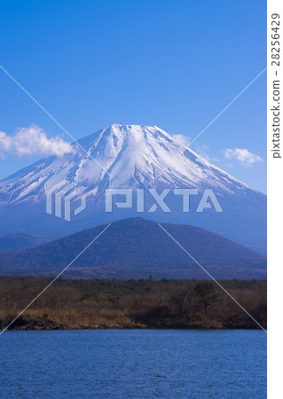 Mt. Fuji crowning snow 28256429
