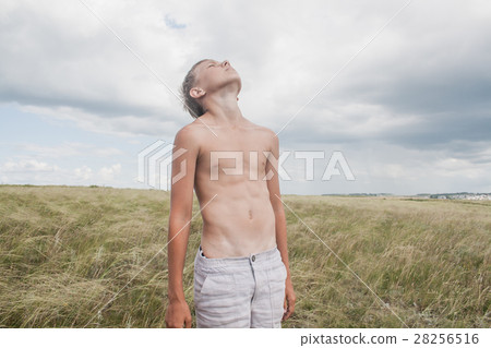 young boy stands in a field. boy in shorts. 28256516