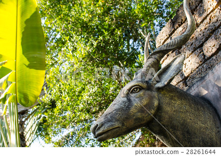 Head of Antelope and Garden Africa Stlye Head of Antelope and Garden Africa Stlye 28261644