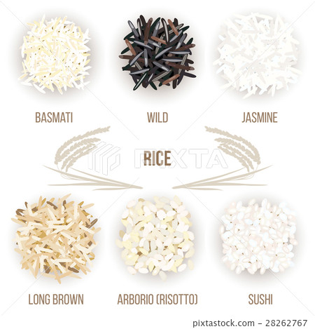 Different types of rice grains isolated on white Different types of rice grains isolated on white 28262767
