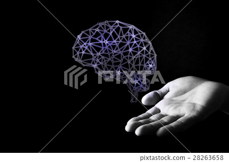 大腦 頭腦 內存 28263658