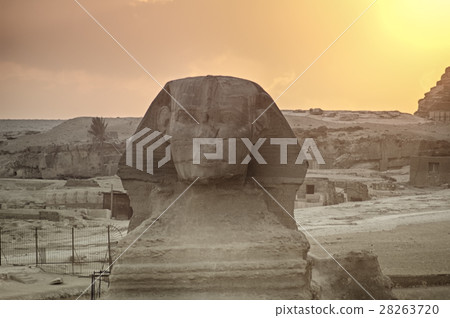The Great Sphinx of Giza on a sunset background The Great Sphinx of Giza on a sunset background 28263720
