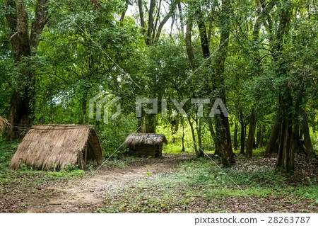 House of vedda people House of vedda people 28263787