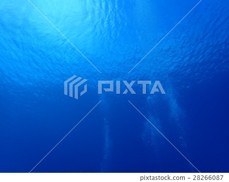 Sea-level foam 28266087