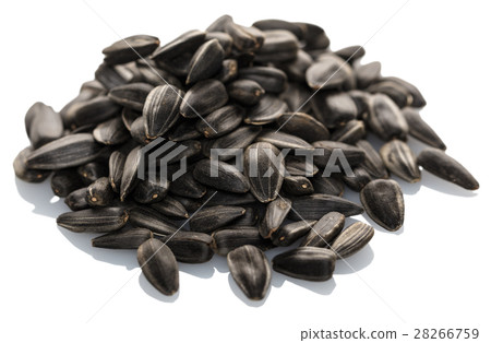 pile of sunflower seeds pile of sunflower seeds 28266759