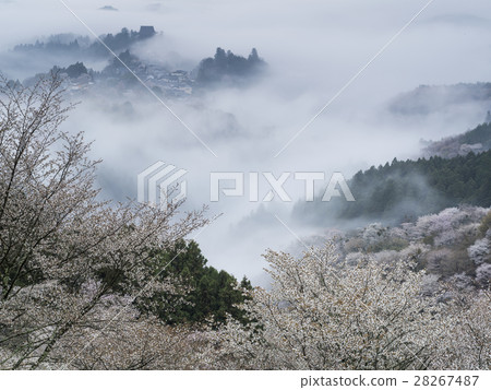 Morning of Yoshino mountain (Nara) Morning of Yoshino mountain (Nara) 28267487