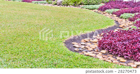 lawn texture 28270473
