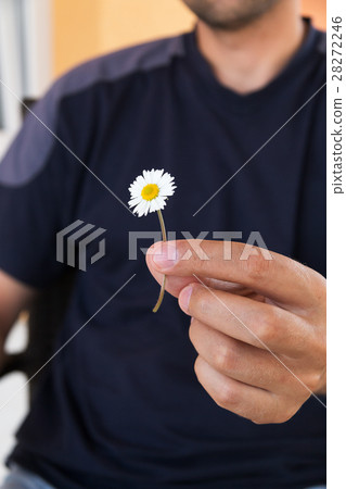 Man giving a present with a little daisy flower 28272246