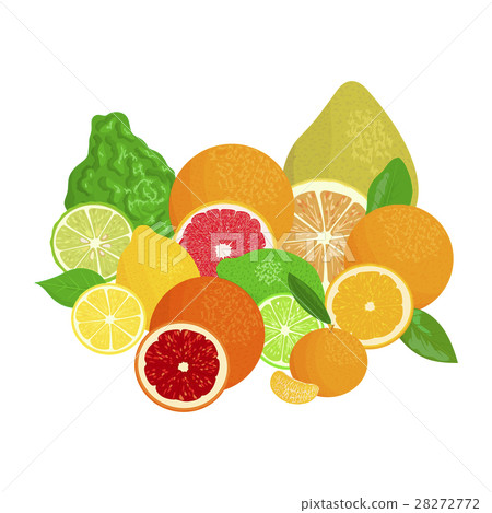 Citrus fruits. Bergamot, lemon, grapefruit, lime 28272772